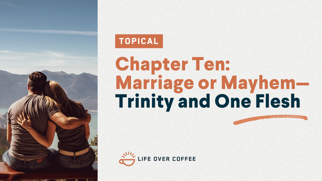 Chapter Ten Marriage or Mayhem—Trinity and One Flesh