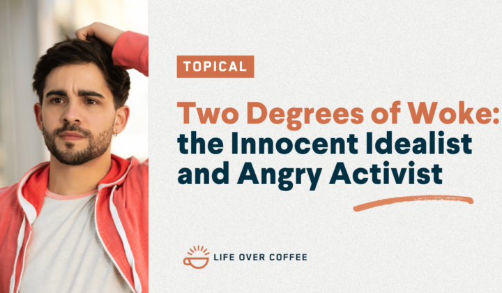 YT TOPICAL Two Degrees of Woke the Innocent Idealist and Angry Activist
