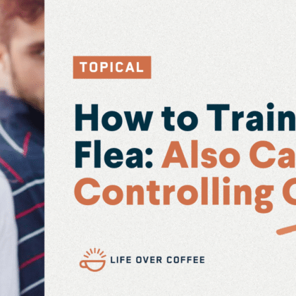 How to Train Your Flea Also Called Controlling Others