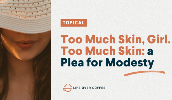 Too Much Skin, Girl. Too Much Skin a Plea for Modesty