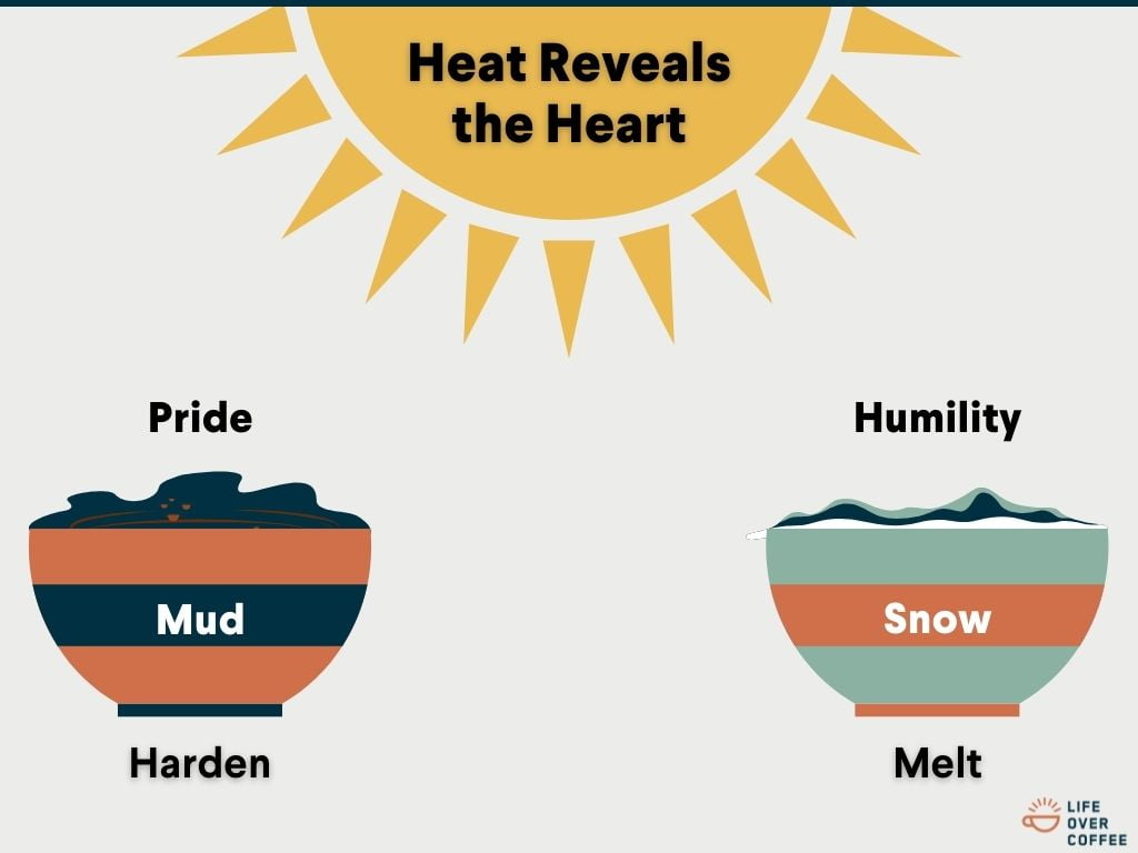 Heat Reveals the Heart