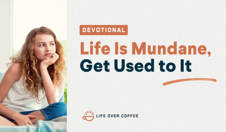 Life Is Mundane, Get Used to It