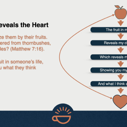40 Fruit Reveals the Heart.001