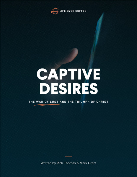 Captive Desires COVER