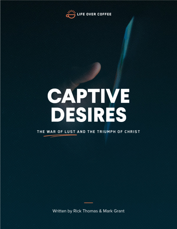 Captive Desires COVER